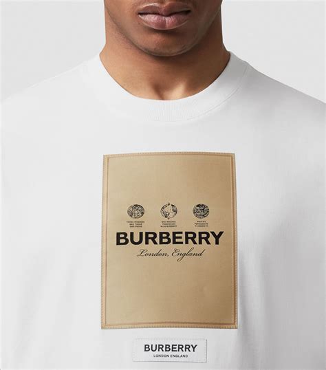 t shirt burberry homme prix|Burberry for men fragrantica.